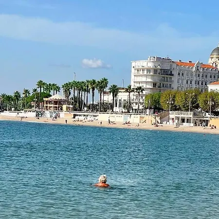 Rez-jardin Renove A Saint-raphael, Cote D'azur * Saint-Raphaël