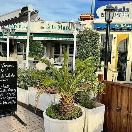 Rez-jardin Renove A Saint-raphael, Cote D'azur Saint-Raphaël